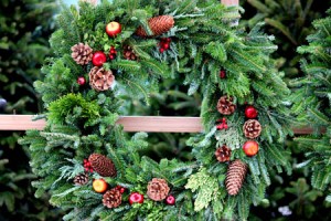 Hand-made live christmas wreaths at Homestead Garden Center, Williamsburg
