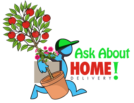 Ask about Homestead Garden Center Home Delivery Service for your Garden Plants, Trees & Shrubs